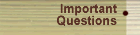 Important Questions